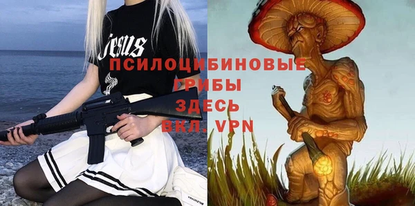 a pvp Надым